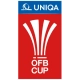 photo ÖFB-Cup
