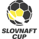 photo Slovak Cup